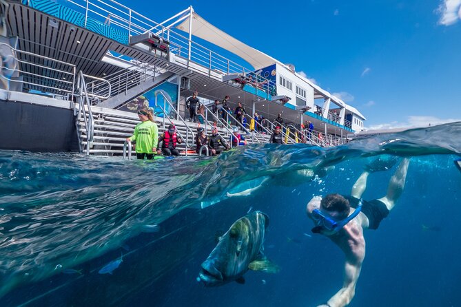 Snorkel & Dive the Reef: Sustainable, Scientific & Cultural Tour - Snorkeling is the strongest part of the day