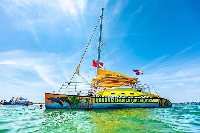 Snorkel & Dolphin Sightseeing Tour Aboard the Footloose - Shell Island is the active part of the outing