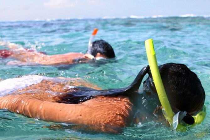 Snorkel & Dolphin Sightseeing Tour Aboard the Footloose - Friendly crew members are a major part of the value