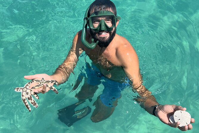 Snorkel & Dolphin Sightseeing Tour Aboard the Footloose - Comfort, access, and what to pack
