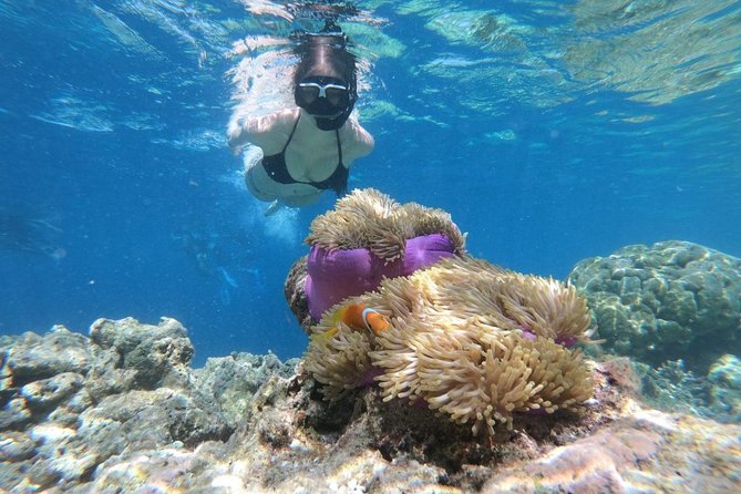 Snorkel in the second largest reef in the world Colorful tour in Puerto Morelos - The beach club snack and Mexican food stop