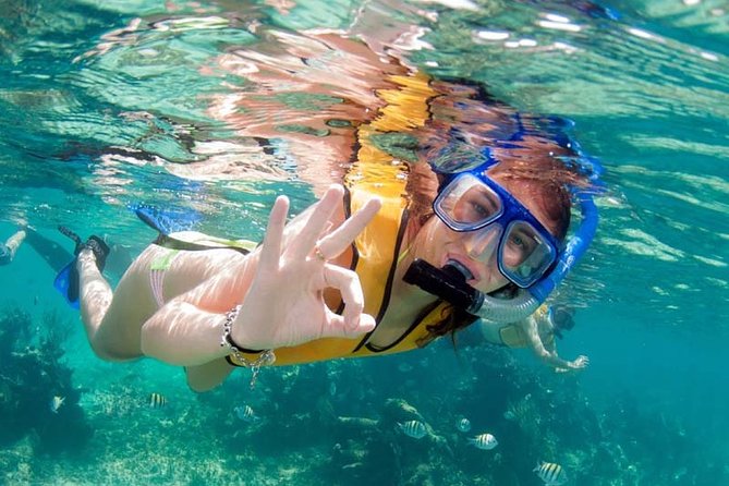 Snorkel in the second largest reef in the world Colorful tour in Puerto Morelos - A short walk through Puerto Morelos