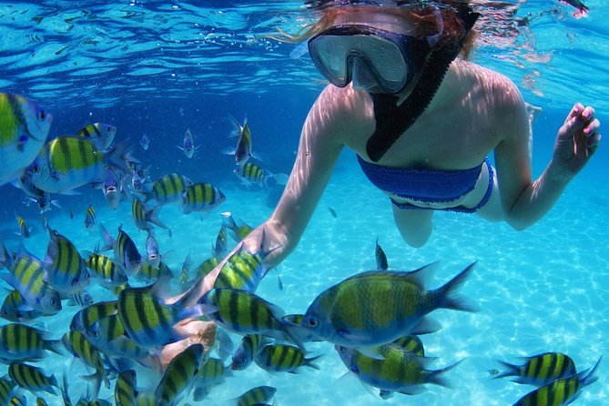 Snorkel in the second largest reef in the world Colorful tour in Puerto Morelos - Guides, crew, and the size of the group