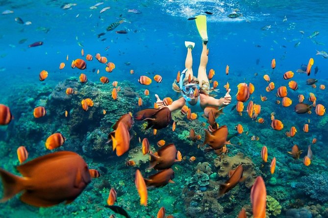 Snorkel in the second largest reef in the world Colorful tour in Puerto Morelos - Boarding the boat at the National Reef Park