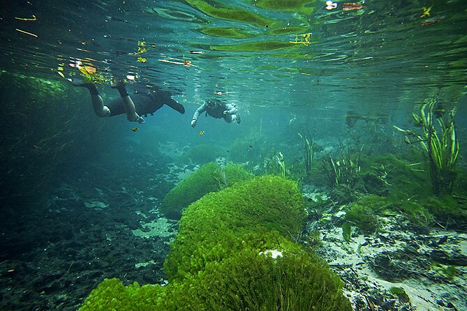 Snorkel in the Sucuri River - At a glance: what makes this river float special