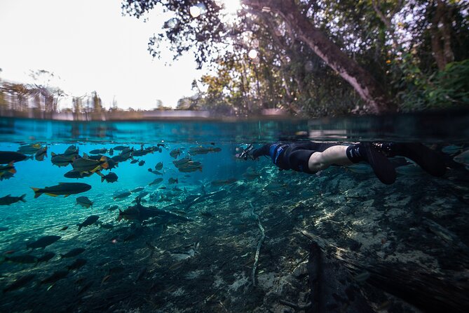 Snorkel in the Sucuri River - What you actually do on the Sucuri River