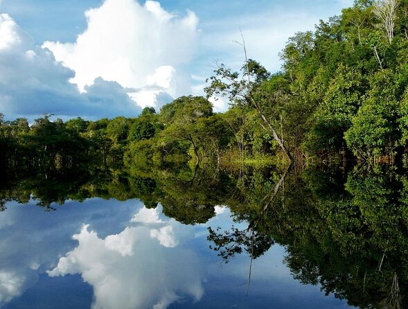 Snorkel in the Sucuri River - Why the clear water matters more than the fish count