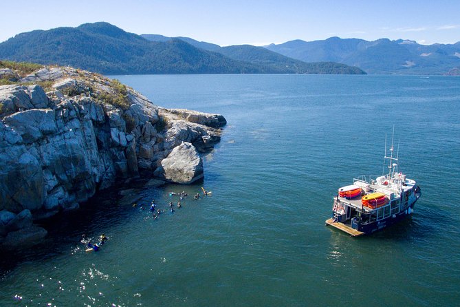 Snorkel, Kayak, and Seal Adventure: Vancouver Boat Tour - From Horseshoe Bay to Howe Sound