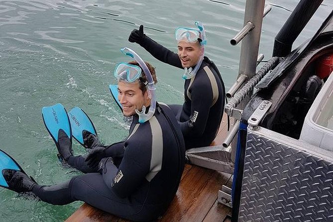 Snorkel, Kayak, and Seal Adventure: Vancouver Boat Tour - Who will enjoy this most