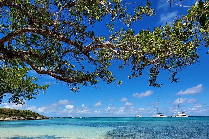 Snorkel - Lobster Lunch Cruise to Bird Island and Paradise Reef - Who should book this Antigua excursion