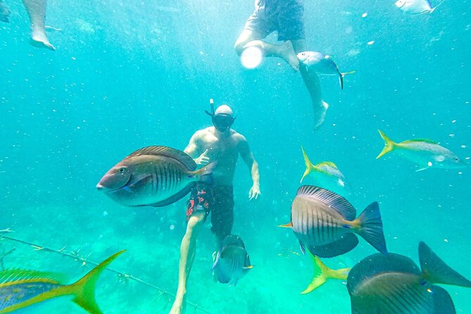 Snorkel Lovers for All Ages & Premium Seafood Lunch in Punta Cana - Lunch from the floating kitchen