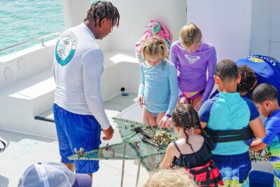 Snorkel Lovers for All Ages & Premium Seafood Lunch in Punta Cana