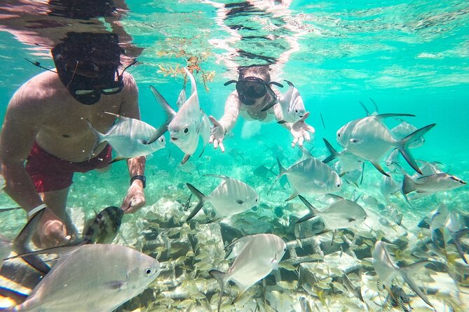 Snorkel Lovers for All Ages & Premium Seafood Lunch in Punta Cana - Small practical details that matter