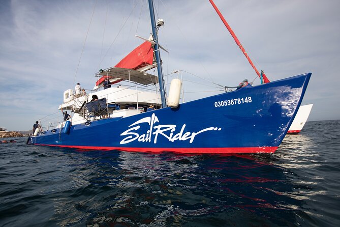 Snorkel, Lunch & Sail in Cabo San Lucas - A long first cruise before snorkeling