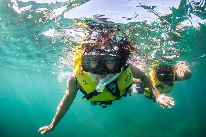 Snorkel, Lunch & Sail in Cabo San Lucas - Open bar, music, and the ride back