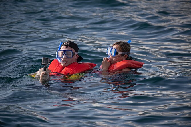 Snorkel, Lunch & Sail in Cabo San Lucas - Is $115 a good value?