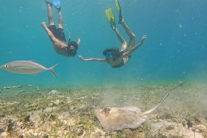 Snorkel St. John Tour from Sapphire and Margaritaville - How the 9 a.m. to 3 p.m. schedule works