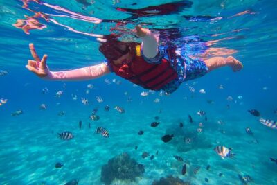 Snorkel St. John Tour from Sapphire and Margaritaville