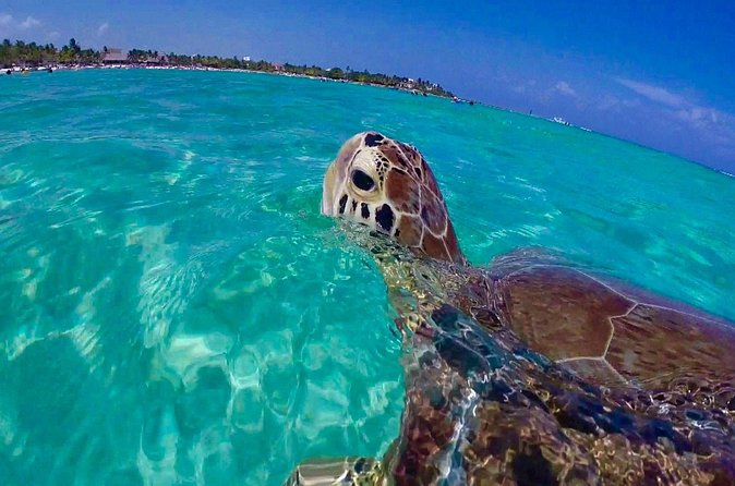 Snorkel St. John Tour from Sapphire and Margaritaville - The crew and the feel on board