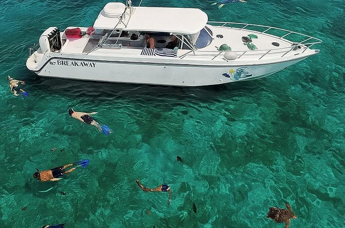 Snorkel St. John Tour from Sapphire and Margaritaville - Is $180 a good value?