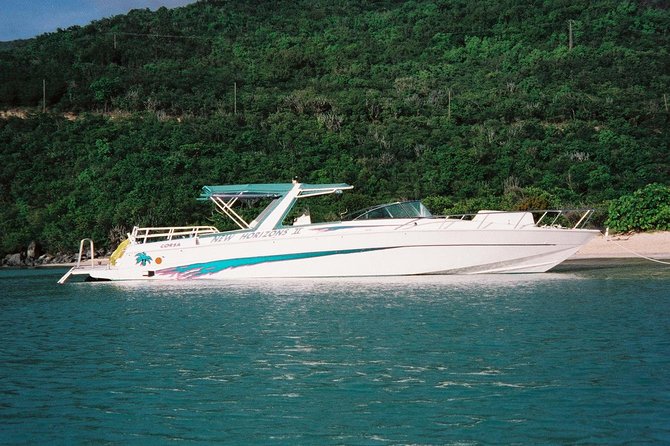 Snorkel St. John Tour from Sapphire and Margaritaville - Group size, timing, and meeting details