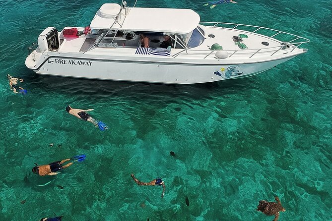 Snorkel St. John Tour from Sapphire and Margaritaville - Who will enjoy this St. John outing most?