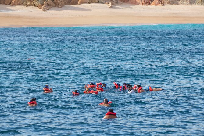 Snorkel & Sunset Sail in Cabo San Lucas - Practical details that can save you trouble