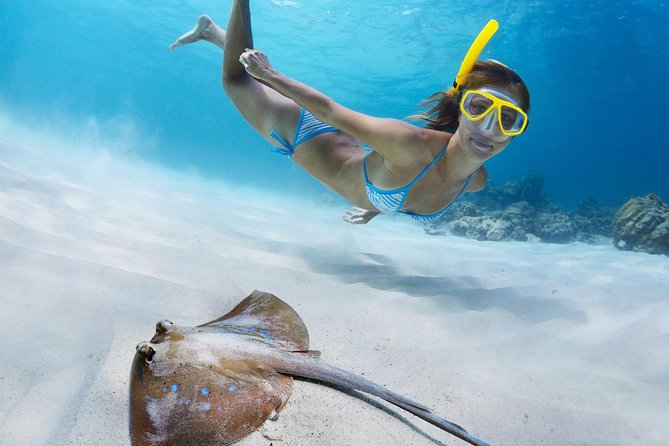 Snorkel & Swim with Turtles. Semi Private Tour to Buck Island & Honeymoon Beach - What your four hours on the water look like