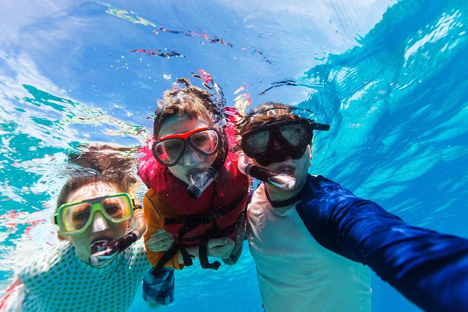 Snorkel & Swim with Turtles. Semi Private Tour to Buck Island & Honeymoon Beach - What is included, and what you still need