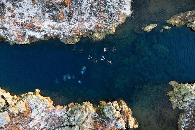 Snorkel the Silfra Fissure-Meet on Location (Free Photos & Cocoa) - Who Will Enjoy This Most?