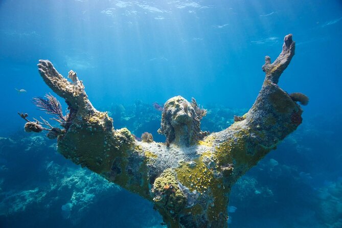 Snorkel Tour - Visit 2 Shallow Reefs John Pennekamp State Park - Key points to know before booking