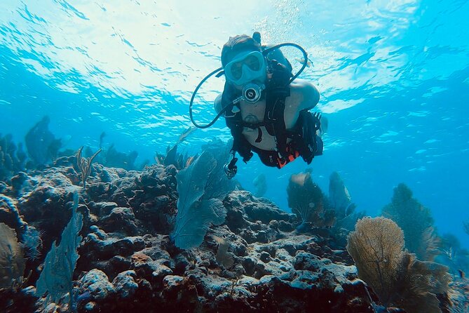Snorkel Tour - Visit 2 Shallow Reefs John Pennekamp State Park - Two shallow reefs and one famous underwater statue