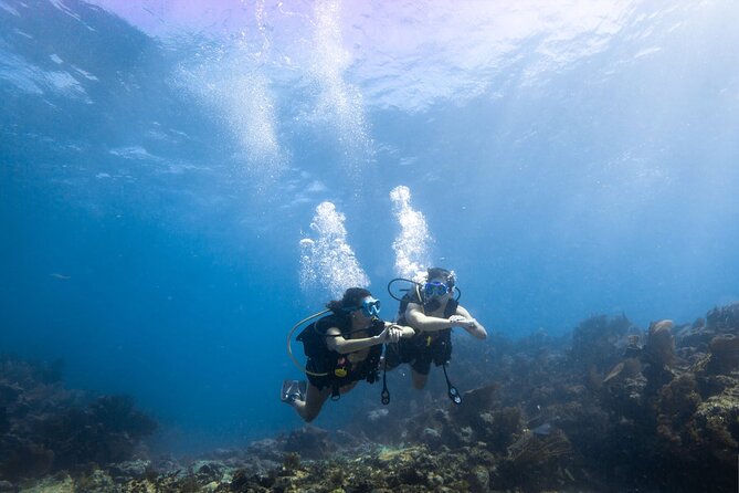 Snorkel Tour - Visit 2 Shallow Reefs John Pennekamp State Park - Timing, check-in, and the morning advantage