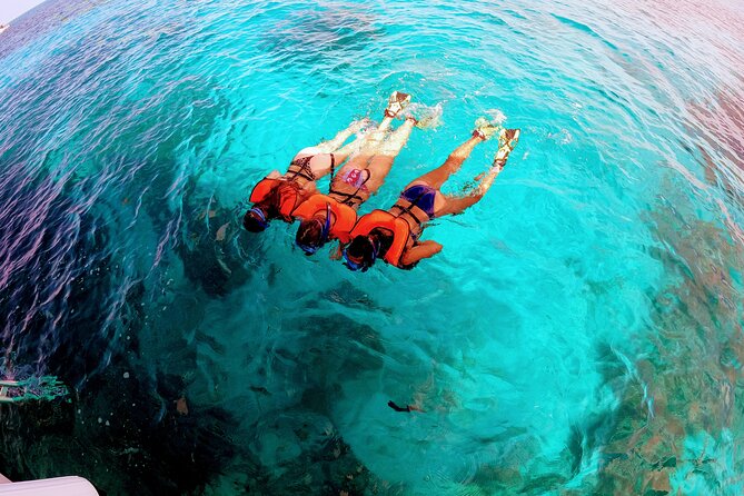 Snorkel Tour - Visit 2 Shallow Reefs John Pennekamp State Park - Who should book this Key Largo snorkel trip