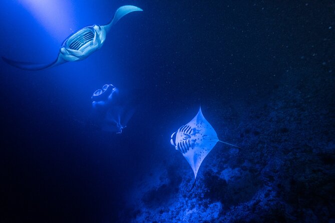 Snorkel With Giant Manta Rays In Kailua Kona - Is $137 a fair price?