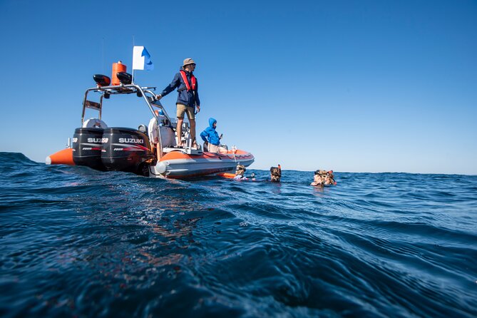 Snorkel with Turtles Gold Coast - Fresh fruit and the return to Chinderah