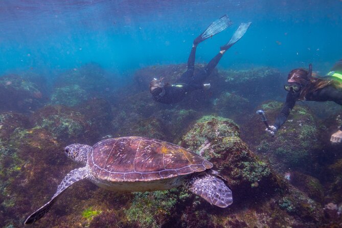 Snorkel with Turtles Gold Coast - The 20-minute ride toward Fingal Head