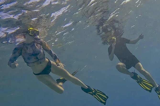 Snorkel with Turtles & see the Flamingos - What the small group changes