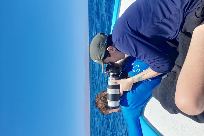 Snorkel with whale sharks includes equipment & transportation - A brief view of Cabo’s Arch on the return