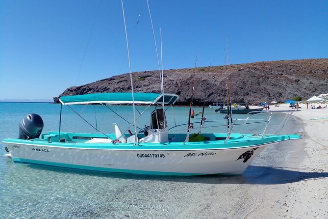 Snorkel with whale sharks includes equipment & transportation - Who will enjoy this day most