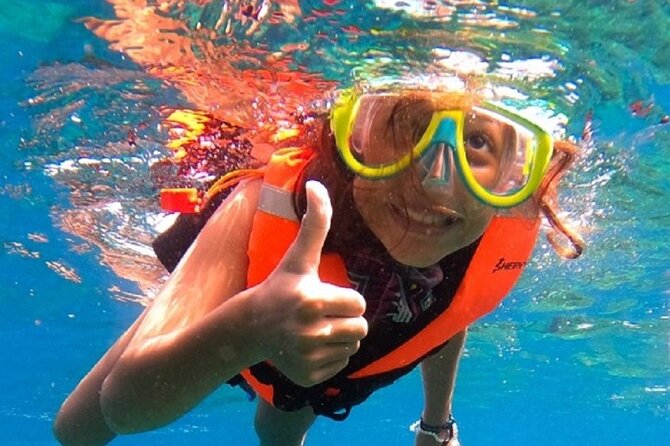 Snorkel with whale sharks includes equipment & transportation - La Paz and the six-hour wildlife window