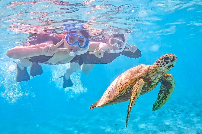 Snorkeling Activity in Okinawa Miyako Japan - Key points at a glance