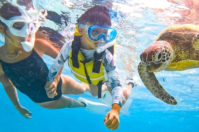 Snorkeling Activity in Okinawa Miyako Japan - The free photo service is a real part of the value