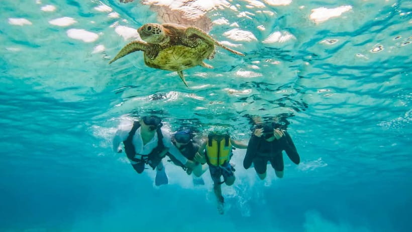 Snorkeling Activity in Okinawa Miyako Japan - Guides who make the water less intimidating