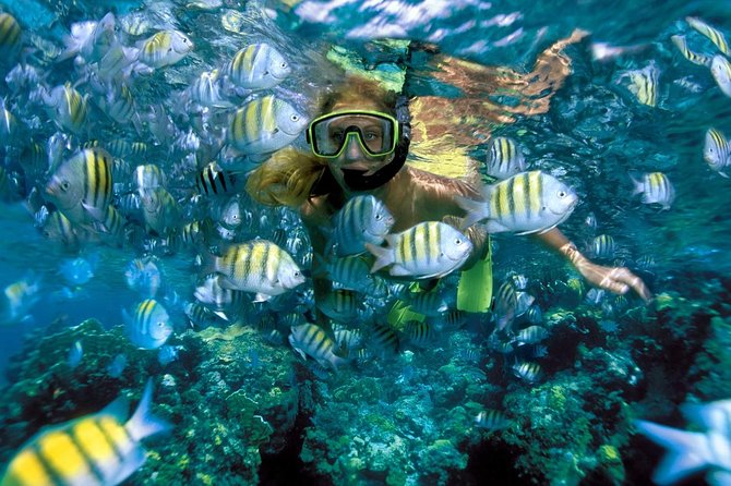 Snorkeling Adventure in Isla Mujeres - The ride back and the possible spinnaker