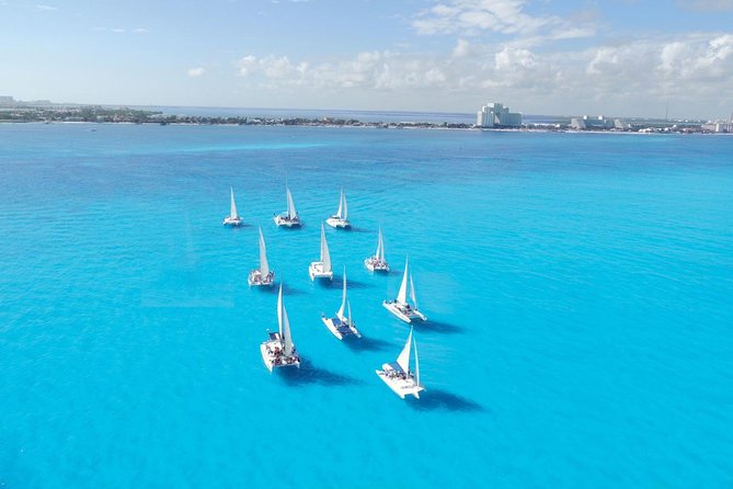 Snorkeling Adventure in Isla Mujeres - Snorkeling beside the underwater museum