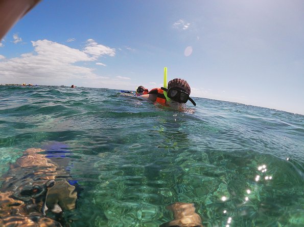 Snorkeling Adventure in Puerto Morelos Includes snack, Water and Round Trip. - Tacos and a beach club break up the morning