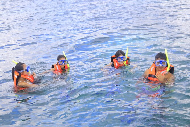 Snorkeling Adventure in Puerto Morelos Includes snack, Water and Round Trip. - Who will get the most from this Puerto Morelos trip