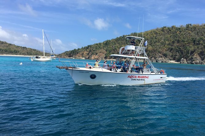 Snorkeling Adventure in St Thomas - First stop: clear water and active marine life