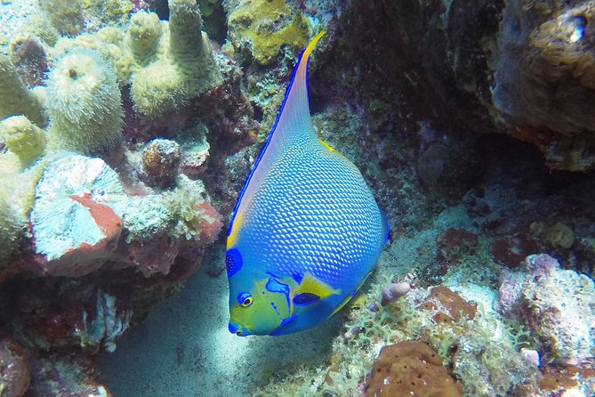Snorkeling Adventure in St Thomas - Why the small group matters